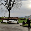Sidrería (206)